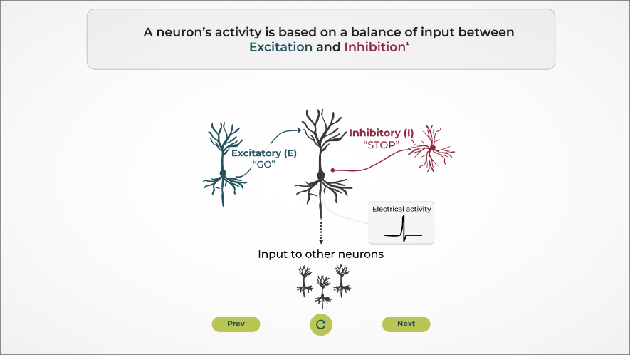 Unique Mechanism of Action (MoA) of an Antiseizure Medication